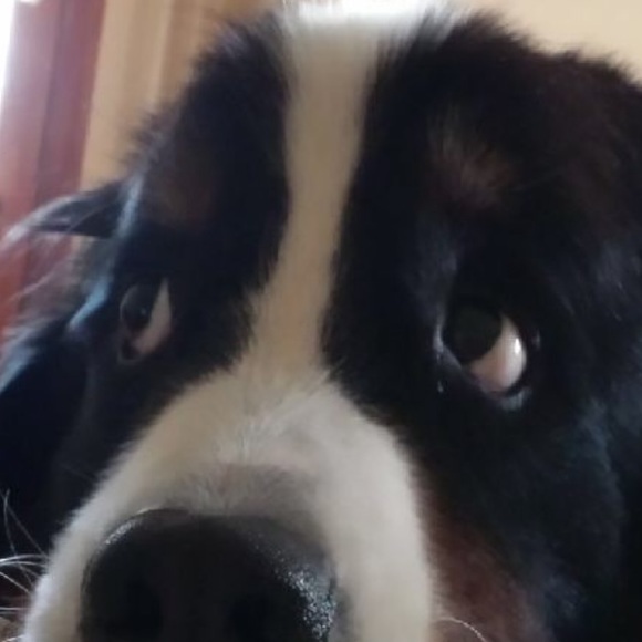 Meet your Posher, Mouy - Picture 1 of 1